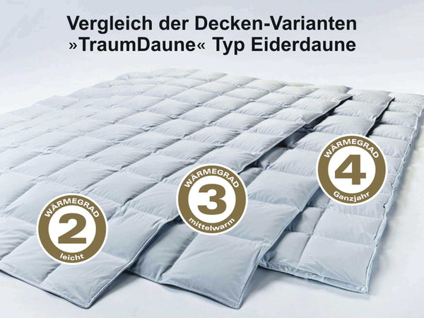 Bettdecke Typ Eiderdaune »TraumDaune«