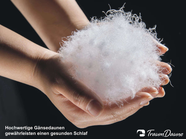 Premium Gänsedaunen-Bettdecke »Träumchen«