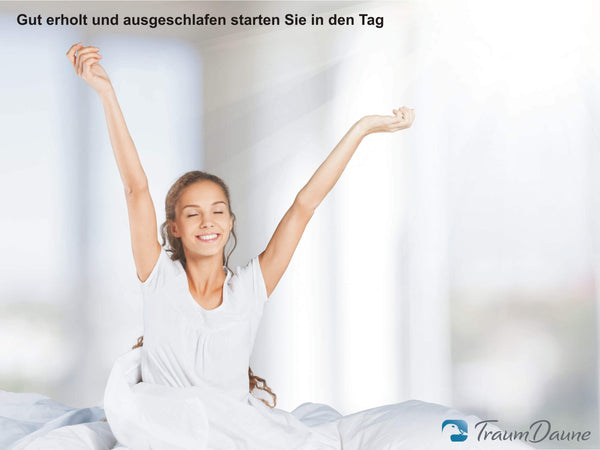 Premium Gänsedaunen-Bettdecke »Träumchen«