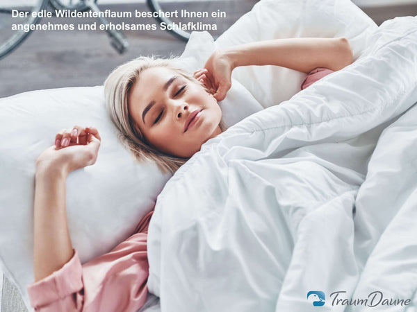 Bettdecke Typ Eiderdaune »TraumDaune«