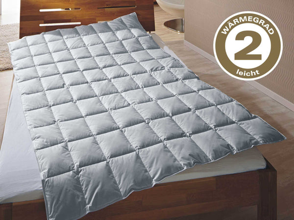 Bettdecke Typ Eiderdaune »TraumDaune«