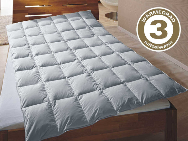 Bettdecke Typ Eiderdaune »TraumDaune«