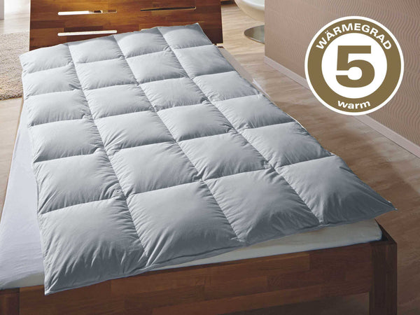 Bettdecke Typ Eiderdaune »TraumDaune«