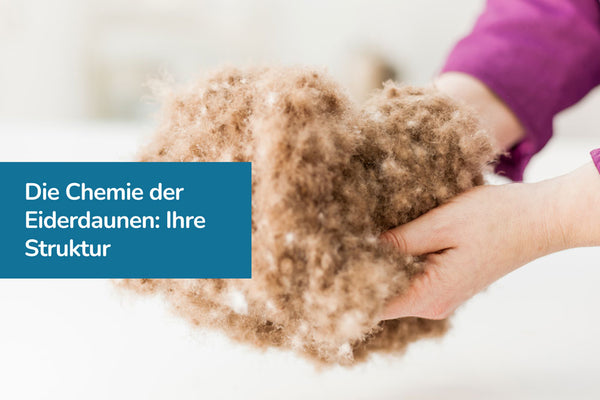 Die Chemie der Eiderdaunen: Ein Blick in ihre außergewöhnliche Struktur