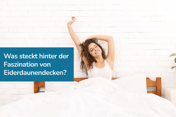 Faszination von Eiderdaunendecken