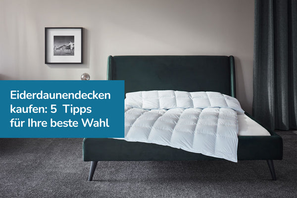 Eiderdaunendecken kaufen: 5 entscheidende Tipps für Ihre beste Wahl