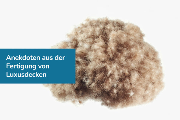 Geschichten von Eiderdaunen: Anekdoten aus der Fertigung von Luxusdecken