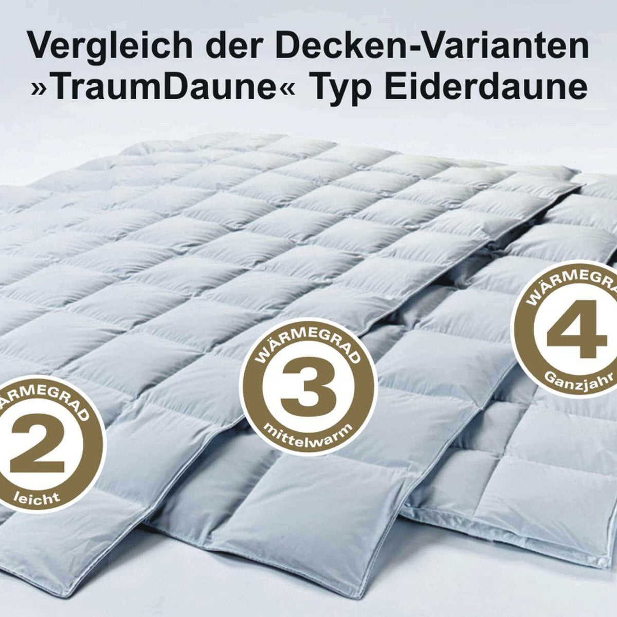 Stilvolle Eiderdaunen Bettdecke Dnisches Bettenlager Ebenbild