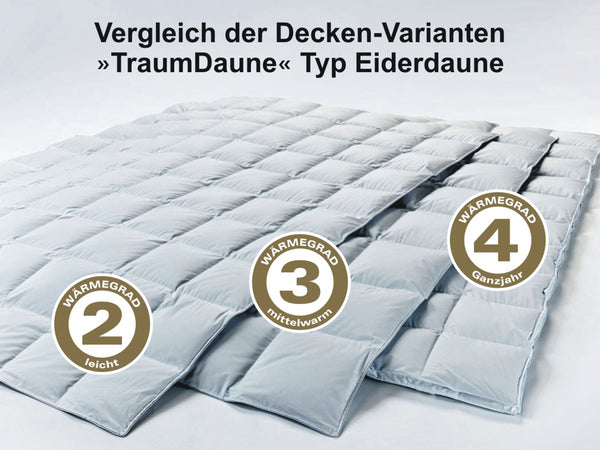 Bettdecke Typ Eiderdaune »TraumDaune«