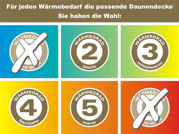 Bettdecke Typ Eiderdaune »TraumDaune«